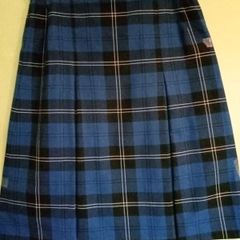 St.Joseph's Secondary, Navan, Senior Cycle skirt, Size Waist 34