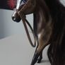 Horses Image 4