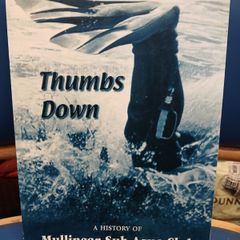 Mullingar Sub-Aqua Club history