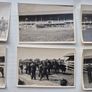 Royal Dublin Horse Show Image 3