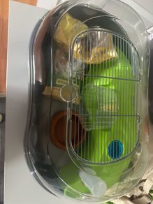 hamster cage