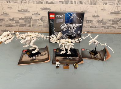 Lego 21320 Dinosaur Fossile