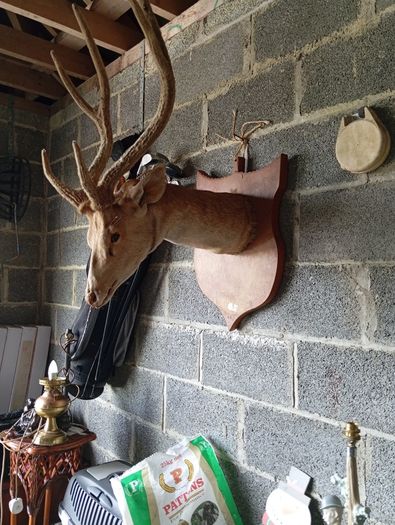 Antique clearance