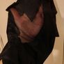 Halloween Costume Image 6