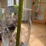 John Rocha waterford crystal vase Image 7