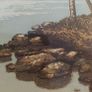 Lakeside trees / John MC Nulty Image 8