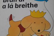 Vintage Gaeilge pop up book BRAN