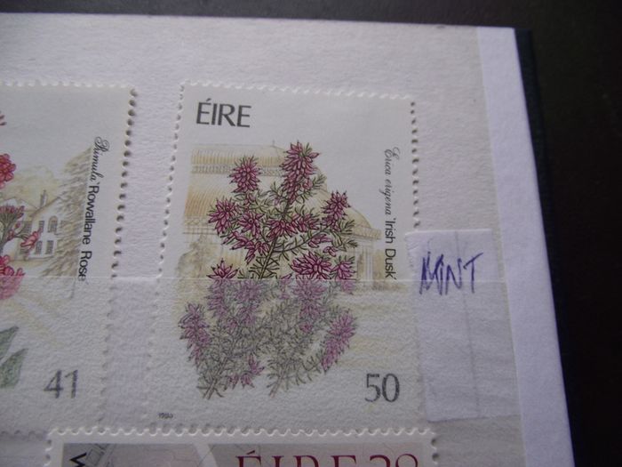 A New Stock Book With Collection Of Mint Irish Stamps N3
