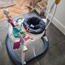 Fisher Price Bouncer Image 2