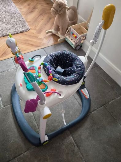 Fisher Price Bouncer
