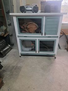 Rabbit / Guinea Pig Hutch