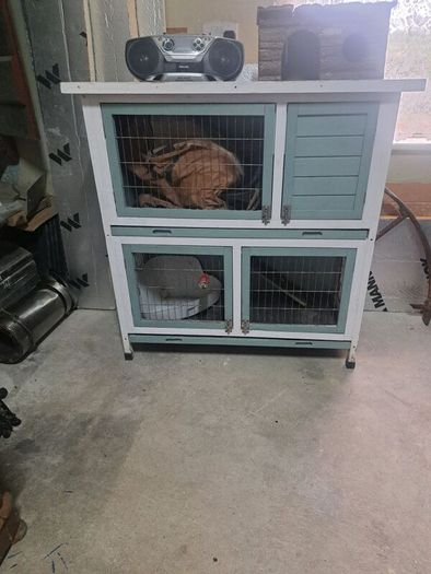 Rabbit / Guinea Pig Hutch