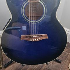 Ibanez AEL10E Acoustic Guitar
