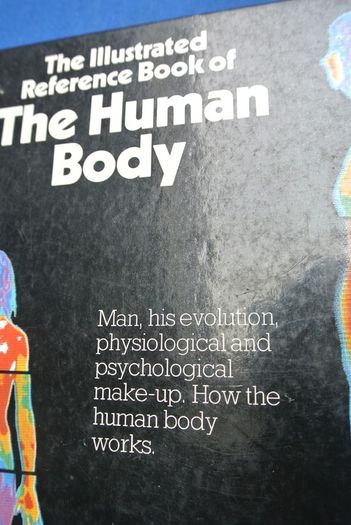 The Illustrated Reference Book Of The Human Body