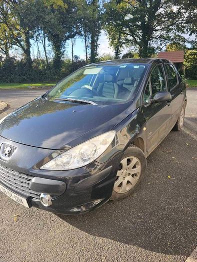2008 Peugeot 307