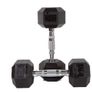 HEX Dumbells 2.5kg to 35kg Image 2