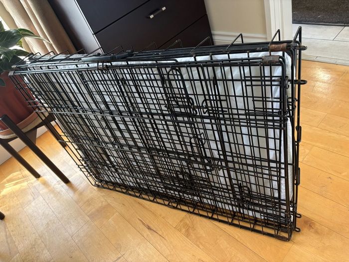 Dog crate with foam mattress