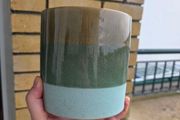 Plant pot