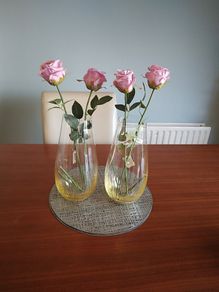 vases