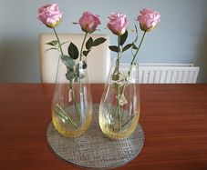 vases
