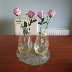 vases