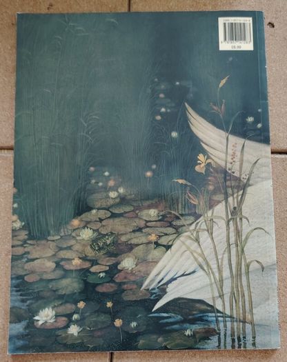 Irish Mythology & Animation Book Bundle  The Secret of Kells & Children of Lir
