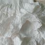 dress short sleeve 2 layer skirt Image 5