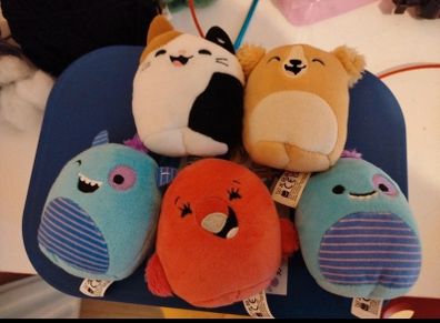5 mini Squishmallows McDonald's all different models. All for 2