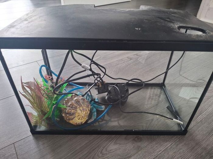 fish tank
