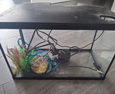fish tank