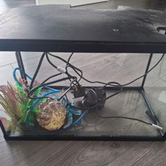 fish tank