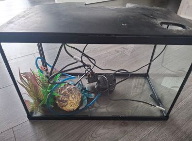 fish tank