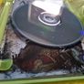 Assassins Creed 3 III xbox 360 games Original Image 8