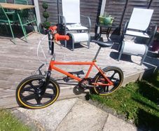Raleigh Mag Styler
