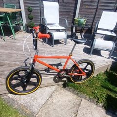 Raleigh Mag Styler