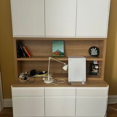Large Storage Cabinet with Shelving for Sale