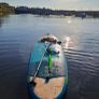 Jobe Ventura Bamboo 10'6" Paddle Board Image 2