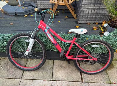 Apollo Independence Child's Mountain Bike