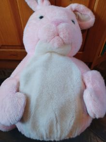 kids Bouncing Bunny