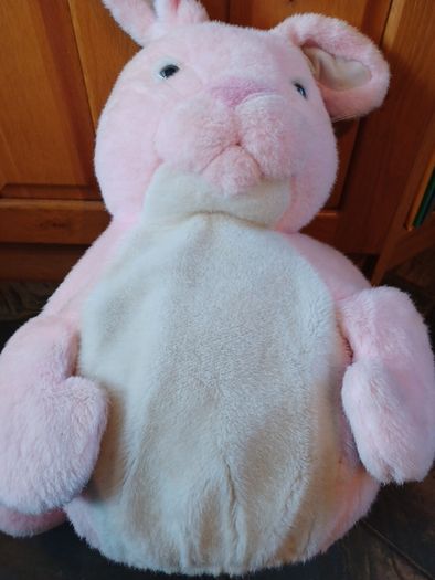 kids Bouncing Bunny