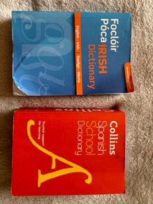 Spanish dictionary