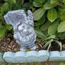 garden Image 6