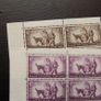 Ireland 1960.World Refugee Year.Two Corner Blocks of four Stamps.MNH. Image 3