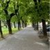 Cida Orsida