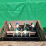6 Antique Soda Bottles and Crate Image 7