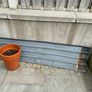 Corrugated Metal Sheet Image 2