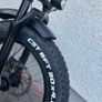 E-Bike Fiido M1 PRO Image 9