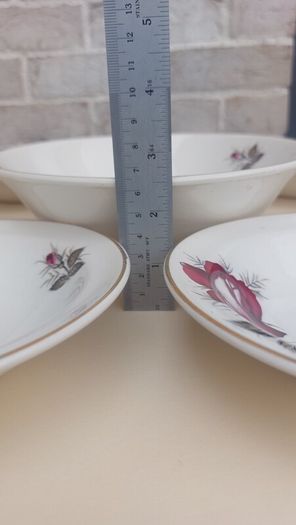 Beautiful Set of Six Dessert Bowls plus Matching Large Bowl by Arklow Pottery in the Very Popular and Collectable "Autumn Rose" Pattern