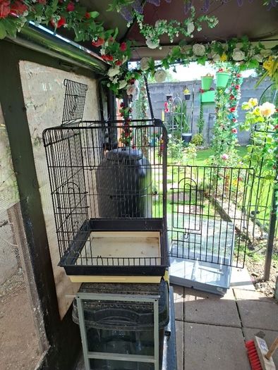 Bird Cages