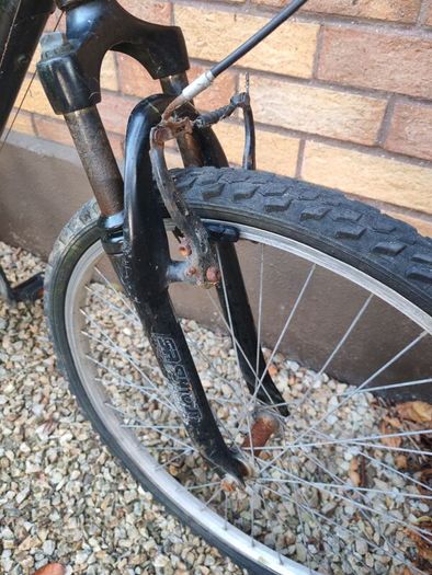 Adult Mountain bike